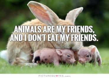 animals are my friends